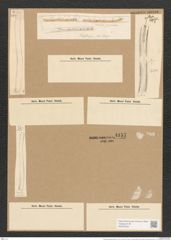 Nitzschia sigmoidea (Nitzsch.) W. Sm. (de-Toni-Nr.: Genus 47, Species 2093) Zeichnungen Sammlung Grunow Nr. 4157 (NHMW-BOT-W0372045)